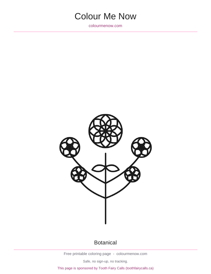 Botanical colouring page preview